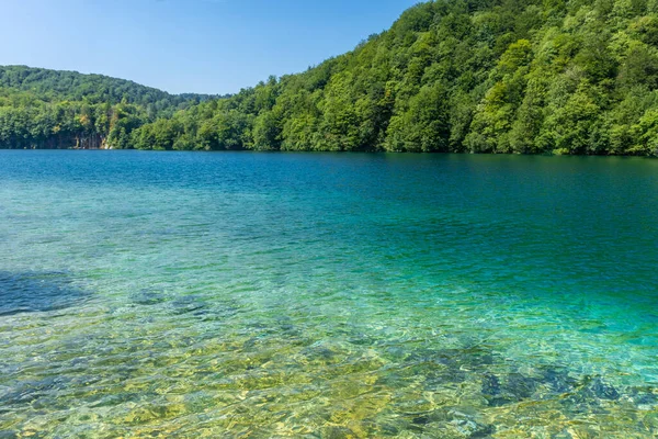 Krajobraz Lasu Kolorowe Jezioro Parku Narodowym Plitwice Chorwacja — Zdjęcie stockowe