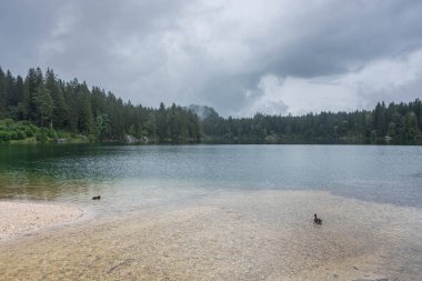 Berchtesgaden Hintersee Gölü Ulusal Parkı Bavyera, Almanya