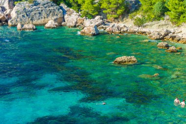 Hırvatistan 'ın Hvar Adası' ndaki Malo Zarace plajı.