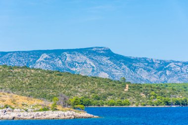 Hvar Adası manzarası ve Adriyatik Denizi ve Hırvatistan 'daki bitki örtüsü