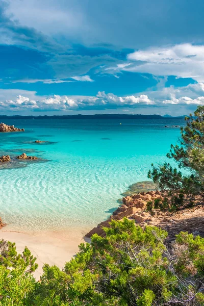 Amazing Pink Sand Beach Budelli Island Maddalena Archipel Sardinië Italië — Stockfoto