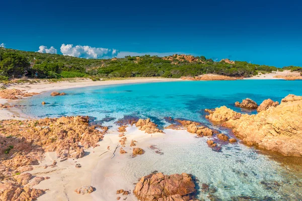 Csodálatos Rózsaszín Homokos Strand Budelli Island Maddalena Szigetcsoport Szardínia Olaszország — Stock Fotó