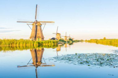Hollanda 'nın ünlü Kinderdijk yel değirmenleri.