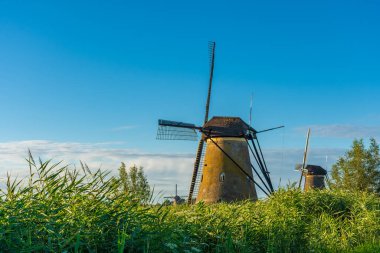 Hollanda 'nın ünlü Kinderdijk yel değirmenleri.