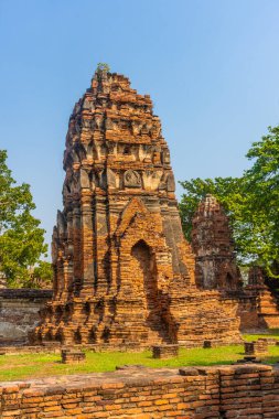 Ayutthaya Tapınağı 'nın antik kalıntıları, Tayland