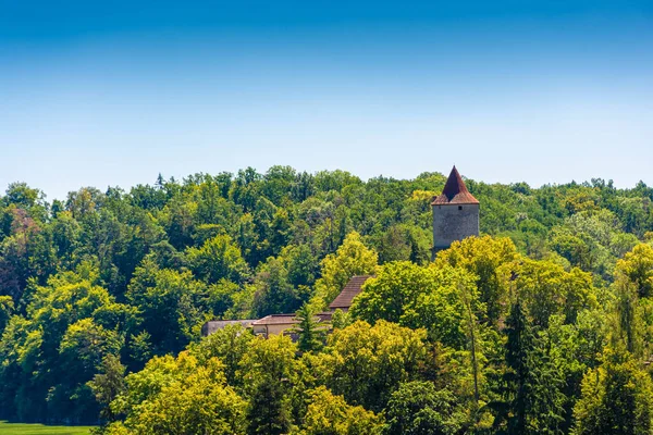 View Tower Zvikov Castle Forest Czech Republic — Stock Photo, Image