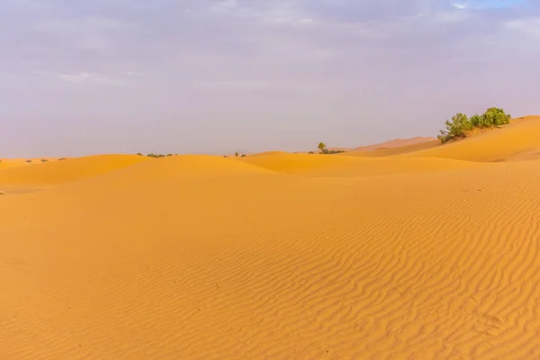 Bellissimo Paesaggio Delle Dune Nel Deserto Del Sahara Merzouga Marocco — Foto Stock