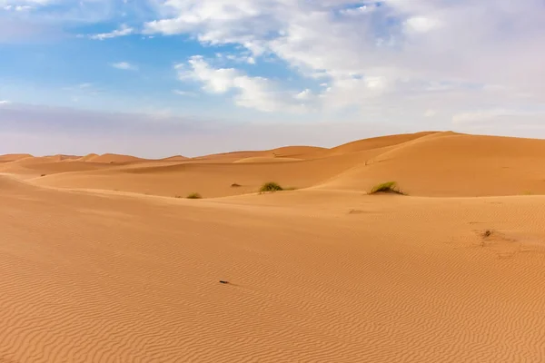 Gyönyörű Táj Dűnék Szahara Sivatag Alkonyatkor Merzouga Morokkó — Stock Fotó