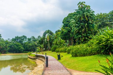 Singapur botanik bahçelerinin manzarası