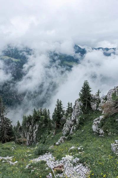 Fog Top Mount Jenner Germany — Stock Photo, Image