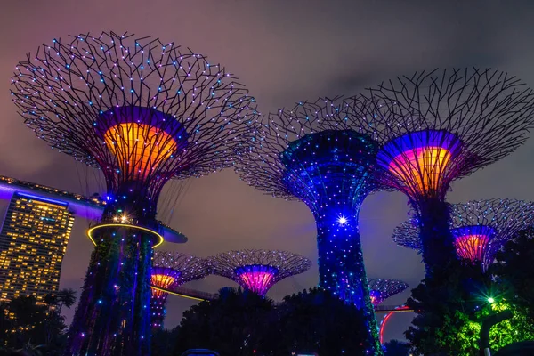 Cingapore Outubro 2019 Superárvores Dos Jardins Junto Baía — Fotografia de Stock