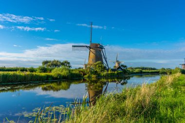 Hollanda 'nın ünlü Kinderdijk yel değirmenleri.