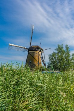 Hollanda 'nın ünlü Kinderdijk yel değirmenleri.