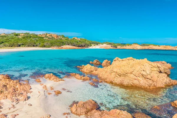 Csodálatos Rózsaszín Homokos Strand Budelli Island Maddalena Szigetcsoport Szardínia Olaszország — Stock Fotó