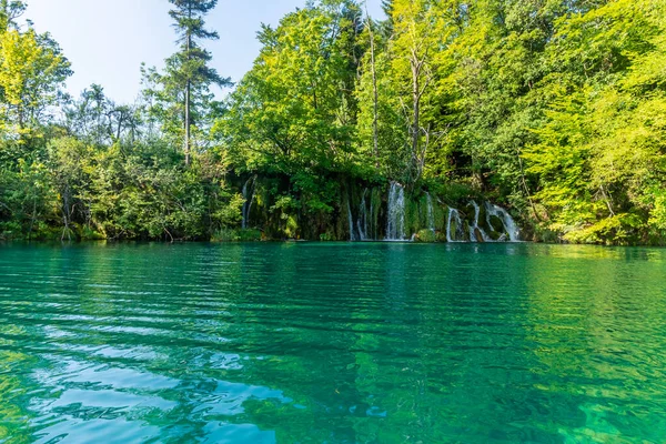 Kryształowa Woda Jezior Plitwickich Chorwacja — Zdjęcie stockowe