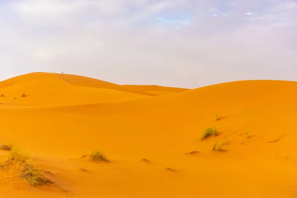 Bellissimo Paesaggio Delle Dune Del Deserto Del Sahara Crepuscolo Merzouga — Foto Stock