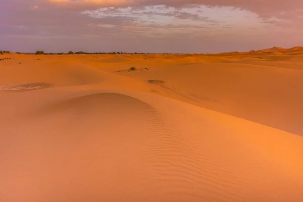 Hermoso Amanecer Desierto Del Sahara Marruecos —  Fotos de Stock