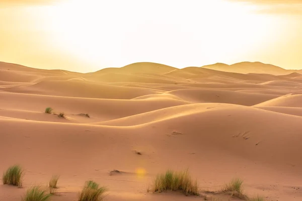 Hermoso Paisaje Del Desierto Del Sahara Erg Chebbi Merzouga Morocco — Foto de Stock
