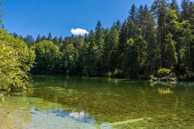 Almanya 'nın Bavyera Alpleri ormanındaki güzel kristal berrak göl