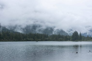 Berchtesgaden Hintersee Gölü Ulusal Parkı Bavyera, Almanya