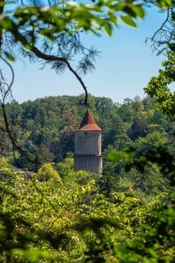 Çek Cumhuriyeti 'ndeki Zvikov Kalesi' nin manzarası