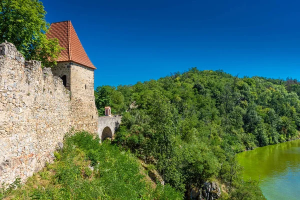 Utsikt Över Slottet Zvikov Tjeckien — Stockfoto