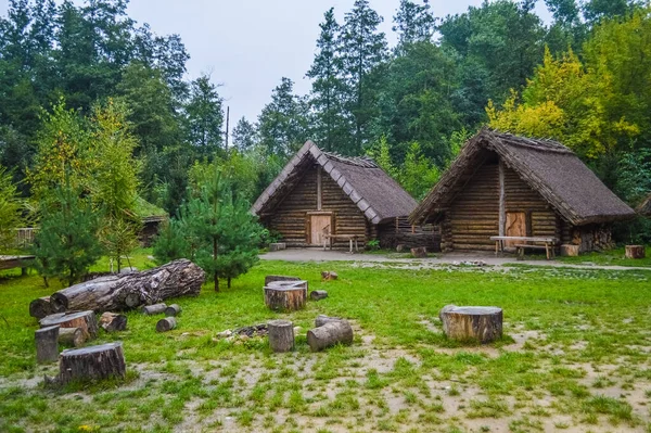 Старый Деревянный Домик Деревне Бискупин Польша — стоковое фото