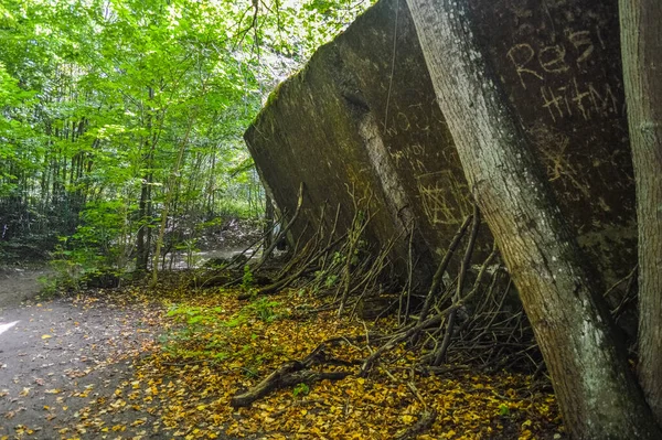 Gierloz Polsko August 2018 Vlčí Pánev Bunkr Který — Stock fotografie