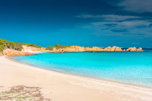 Csodálatos Rózsaszín Homokos Strand Budelli Island Maddalena Szigetcsoport Szardínia Olaszország — Stock Fotó