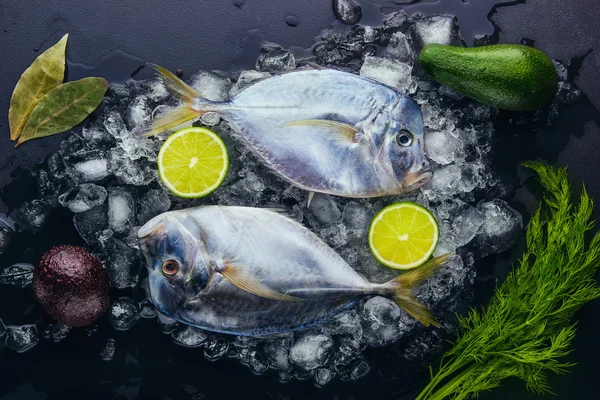 Dwie ryby świeże (vomer lub Selene setapinnis) koperek, liść laurowy, ciemny — Zdjęcie stockowe