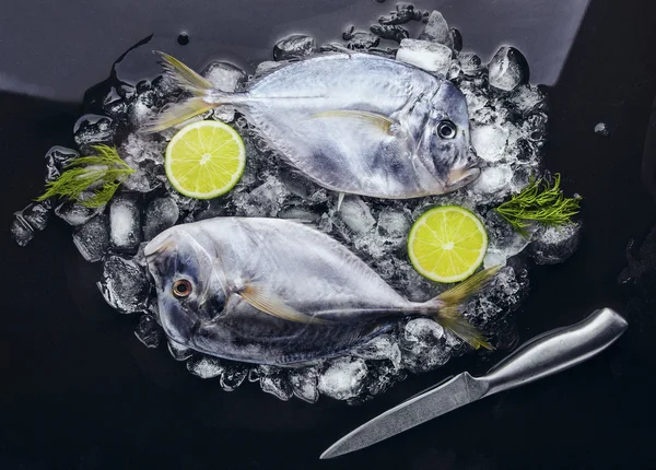 Dwie ryby świeże (vomer lub Selene setapinnis) koperek, nóż, dwa l — Zdjęcie stockowe