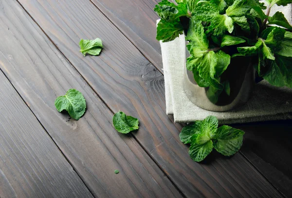 Mint segar dalam cangkir stainless dan daun menyebar mint di w — Stok Foto