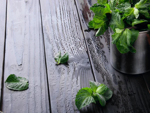 Mint segar dalam cangkir stainless dan daun menyebar mint di w — Stok Foto