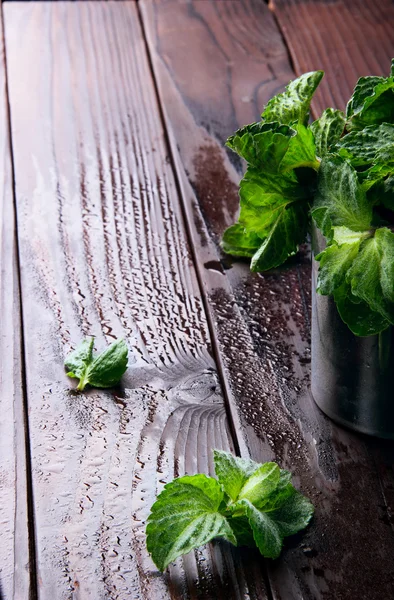 Mint segar dalam cangkir stainless dan daun menyebar mint di w — Stok Foto