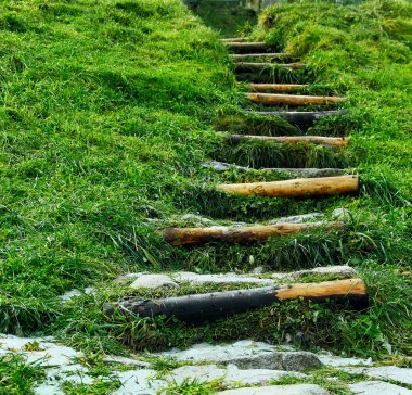 Wooden stairs on green grass.Stone.first planfocused second paln