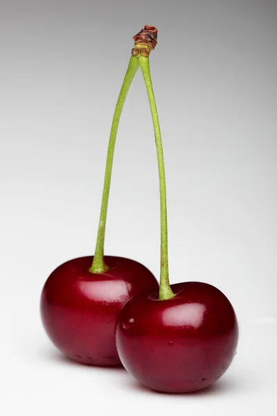 Dos cerezas blancas con fondo de gradiente gris —  Fotos de Stock