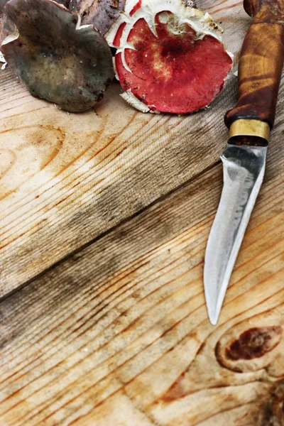 Два гриба русул красный и фиолетовый на столе и охотничий нож — стоковое фото