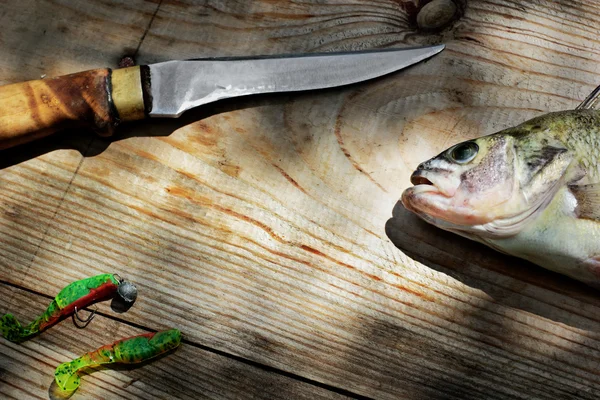 Freshly cathing perch(bass) laying on old wooden background with