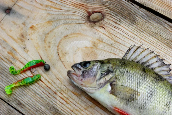 Taze cathing perch(bass) eski ahşap zemin üzerine döşeme — Stok fotoğraf