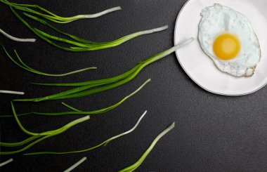 Sperm rekabet, ovule için yüzen Spermatozoons yumurta, yeşil chives onio ve beyaz tabak benziyor