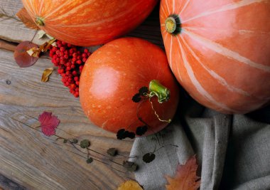 kabaklar ve rowan, düşen yapraklar. Closeup.top görünüm