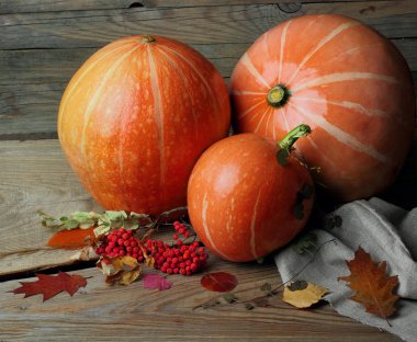 Kabaklar ve rowan, düşen yapraklar ile sonbahar natürmort