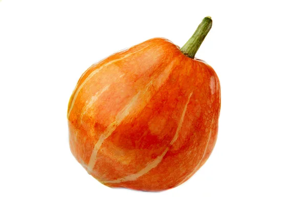 Verse oranje pompoen geïsoleerd op witte achtergrond — Stockfoto