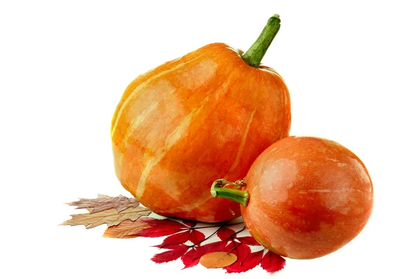 Dos calabazas frescas de naranja (grandes y pequeñas) y hojas caídas de otoño.Tema otoño . —  Fotos de Stock