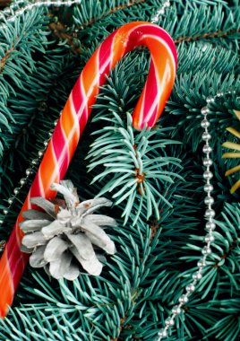 Noel karamel, köknar-ağaç dalları, koniler