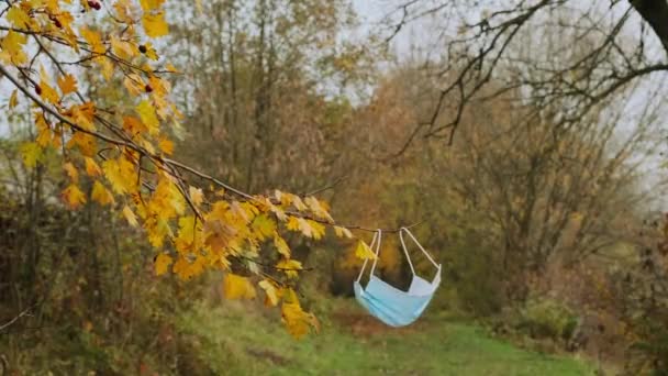 Een Medisch Masker Hangt Aan Een Tak Van Een Herfstboom — Stockvideo