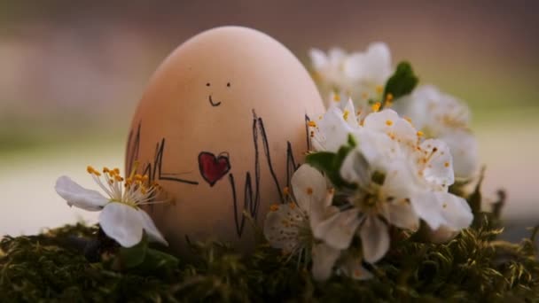 Ekg 120 Uderzeń Minutę Jajku Wielkanocnym — Wideo stockowe