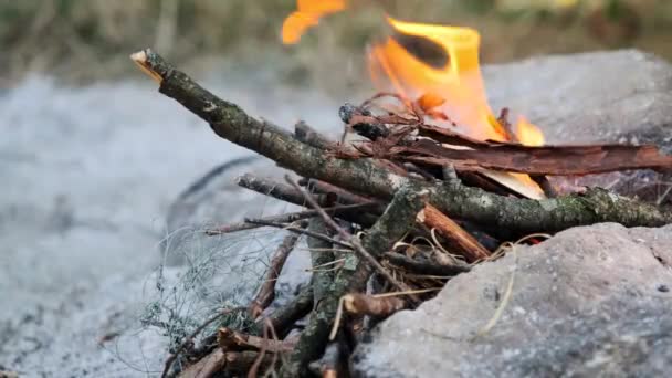 Μια Φωτιά Καίει Στο Δάσος — Αρχείο Βίντεο