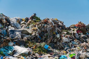 A large mound of garbage sits under a clear blue sky, showcasing the significant waste problem affecting our ecology.