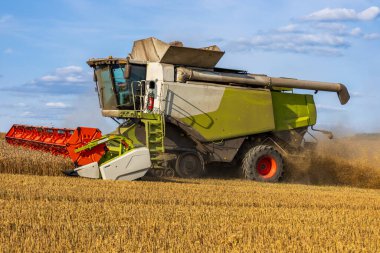 Büyük bir hasatçı verimli bir şekilde mavi gökyüzünün altındaki altın bir tarlada mahsul topluyor. Bu da hasat mevsiminin doruk noktasını gösteriyor..